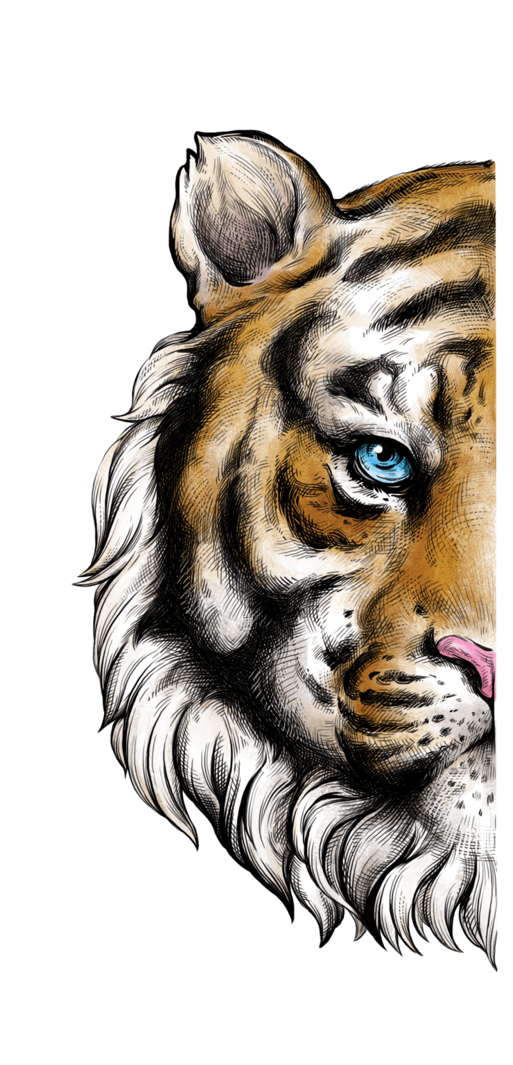 Jungle Cat Mythology Distillery